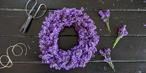 Make Your Own Fresh Lavender Wreath