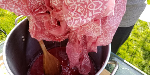 Botanical Dyes from the Garden